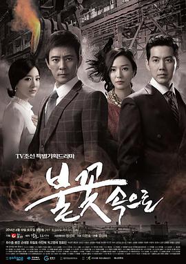 张家界seo优化品牌